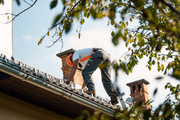 Best Local Roofing Companies  in Morton, WA