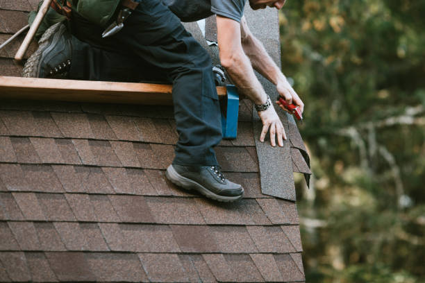 Sealant for Roof in Morton, WA