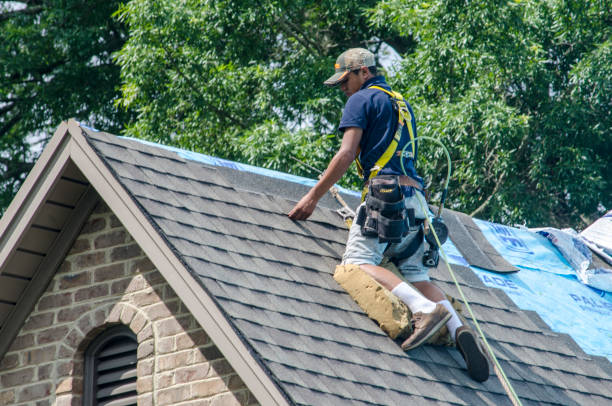 Best Shingle Roofing Installation  in Morton, WA